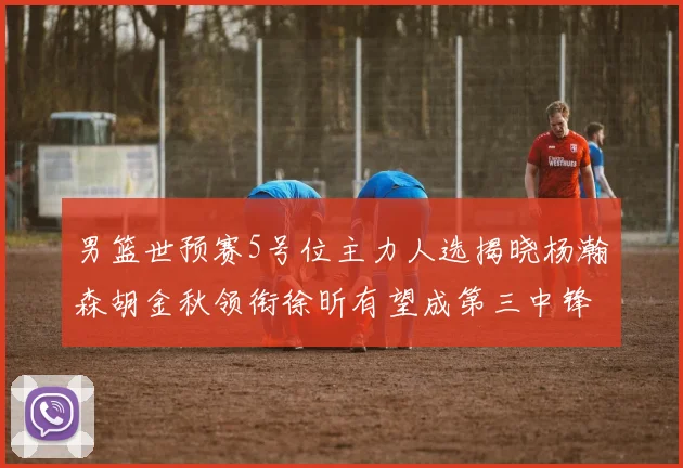 男篮世预赛5号位主力人选揭晓杨瀚森胡金秋领衔徐昕有望成第三中锋