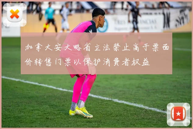 加拿大安大略省立法禁止高于票面价转售门票以保护消费者权益
